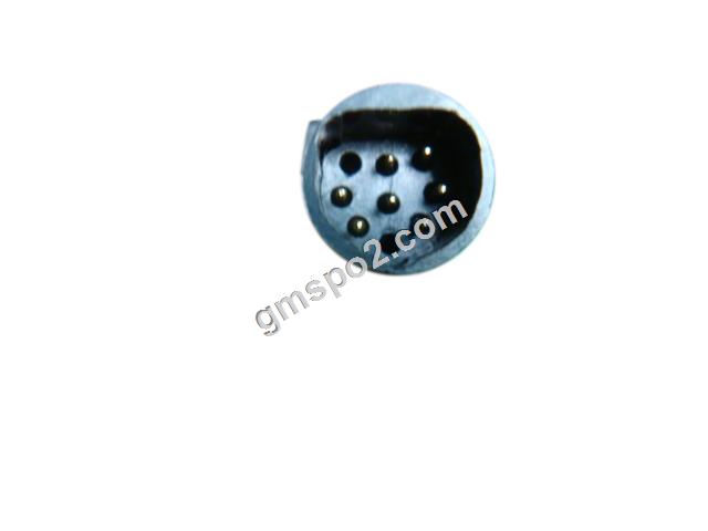 اوہیما پنجی - جی جی پی پی