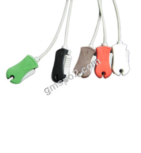 5 لیڈ گرفتاری AHA-JJ