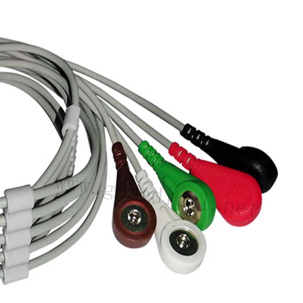 2_ الیکشن 1.jpg